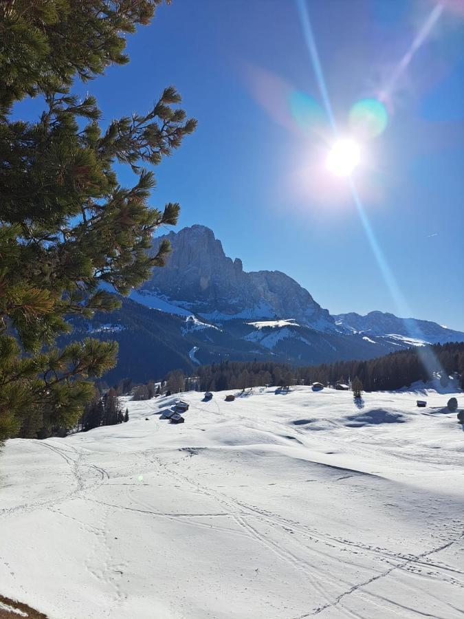 Residence Casa Metz Santa Cristina Val Gardena 外观 照片
